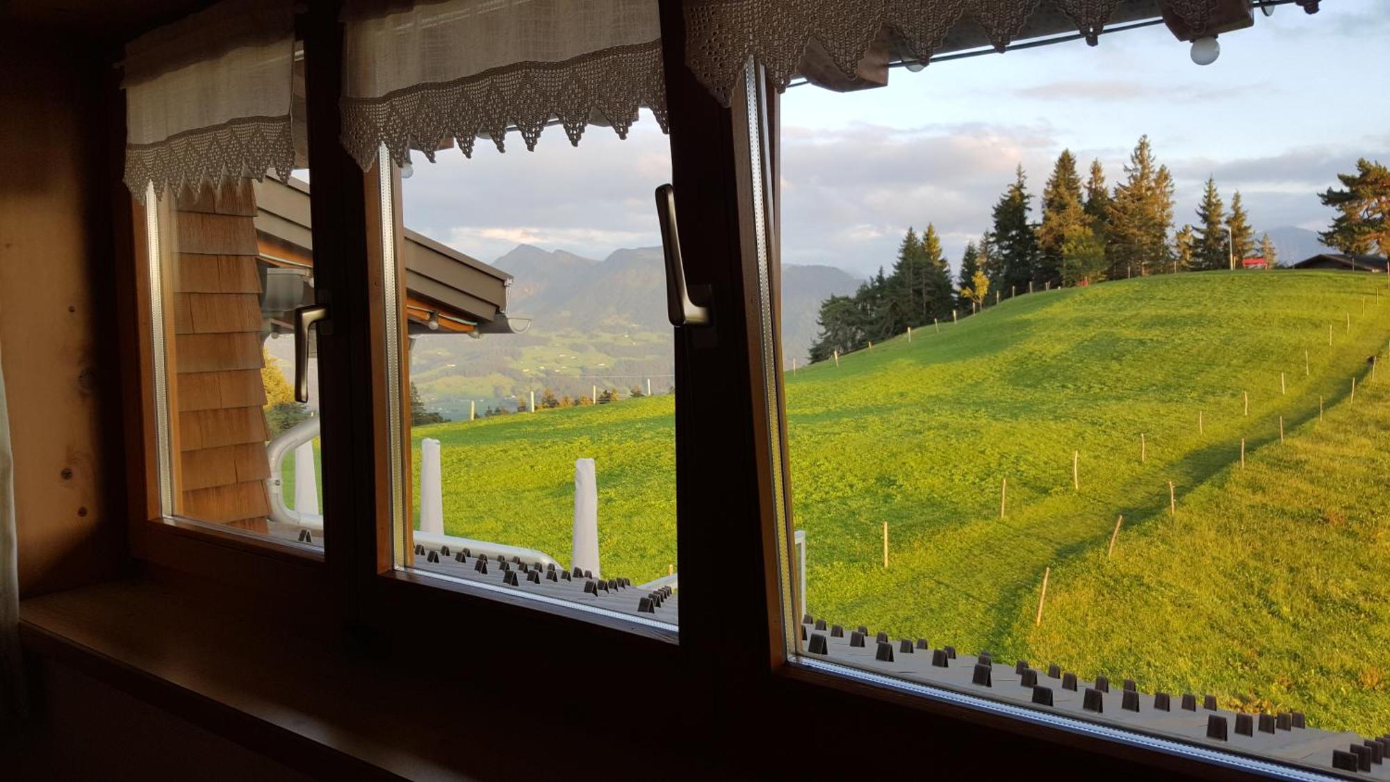 Alpengasthof Brueggele Hotel Alberschwende Værelse billede